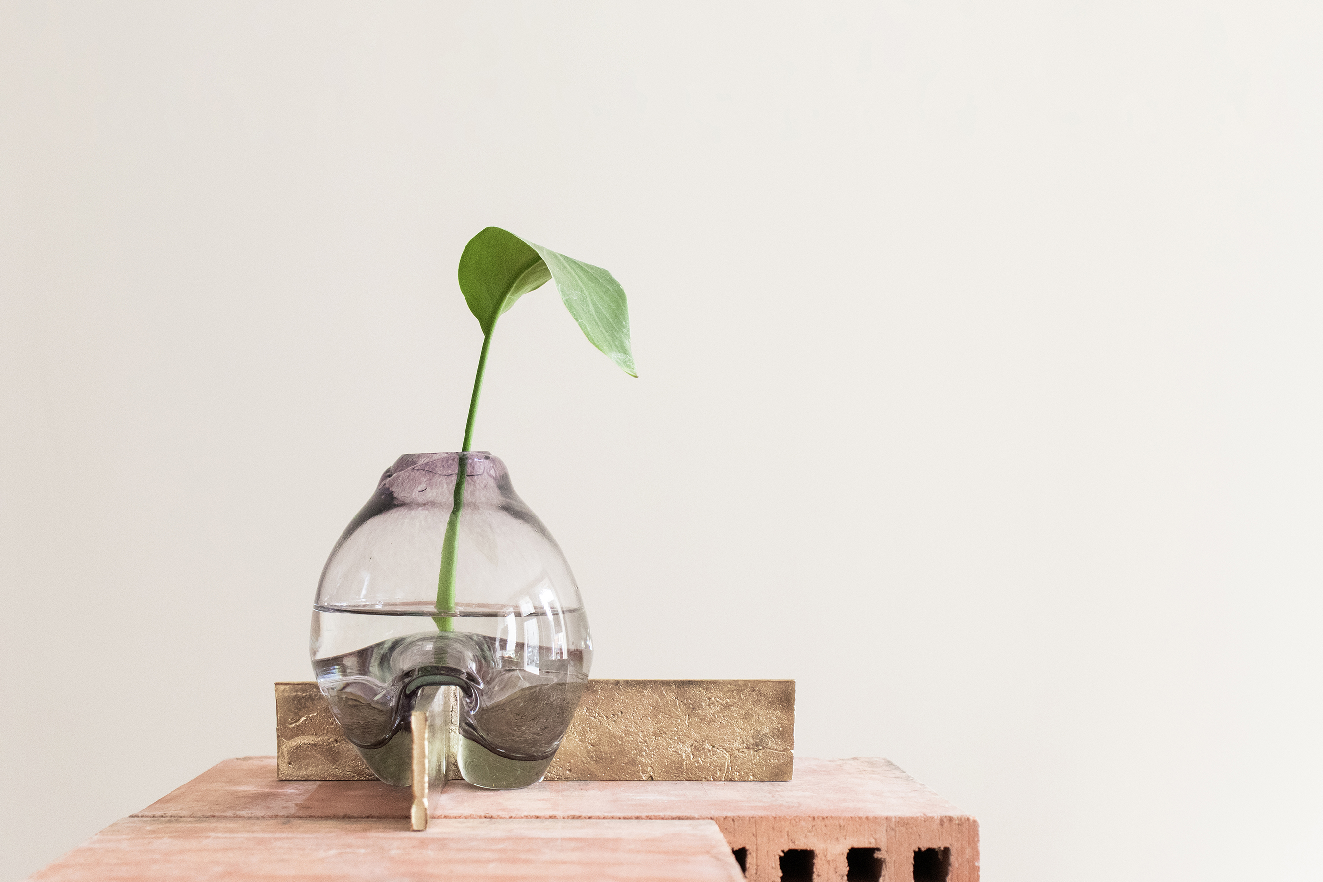 Manti-Manti_ Kollaps_3_ak_fixx